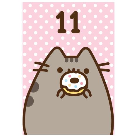 Pusheen 11th Birthday Card £1.99